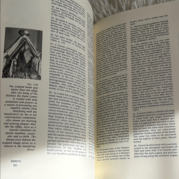 Navajo & Tibetan Sacred Wisdom Book, Circle of Spirit by Peter Gold - Picture 5 of 9